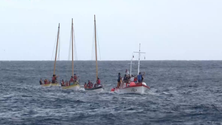 Imagem de Faial e Pico receberam regata de botes baleeiros (Vídeo)