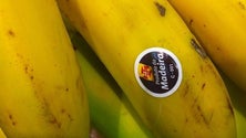 Imagem de Banana da Madeira promovida em 18 portos europeus durante 3 anos