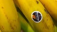 Imagem de Banana da Madeira promovida em 18 portos europeus durante 3 anos