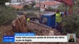 Imagem de Vento forte provoca queda de árvores em vários locais