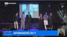 Apanhados 2017