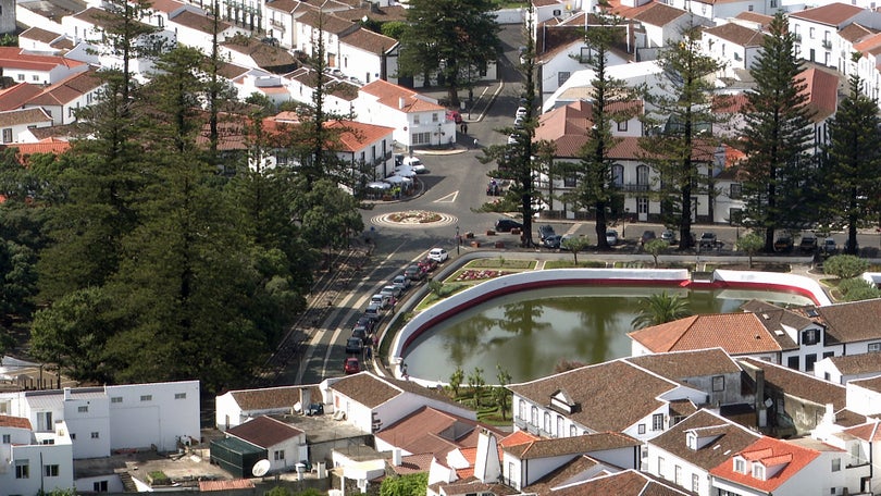 Imagem de Corte de araucárias