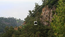 Imagem de Teleférico do Jardim Botânico reabre esta sexta-feira com desconto de 20% (Vídeo)