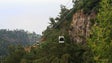 Imagem de Teleférico do Jardim Botânico reabre esta sexta-feira com desconto de 20% (Vídeo)