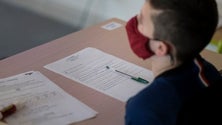 Imagem de Covid-19: Ano letivo terminou bem na Madeira e aulas voltarão a ser presenciais, diz CDS (Áudio)