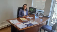 Imagem de OMS deixa alerta para risco de surtos de dengue e zika (áudio)