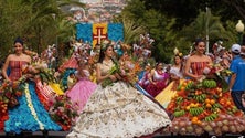 Imagem de Ocupação hoteleira acima dos 60% na Festa da Flor (áudio)