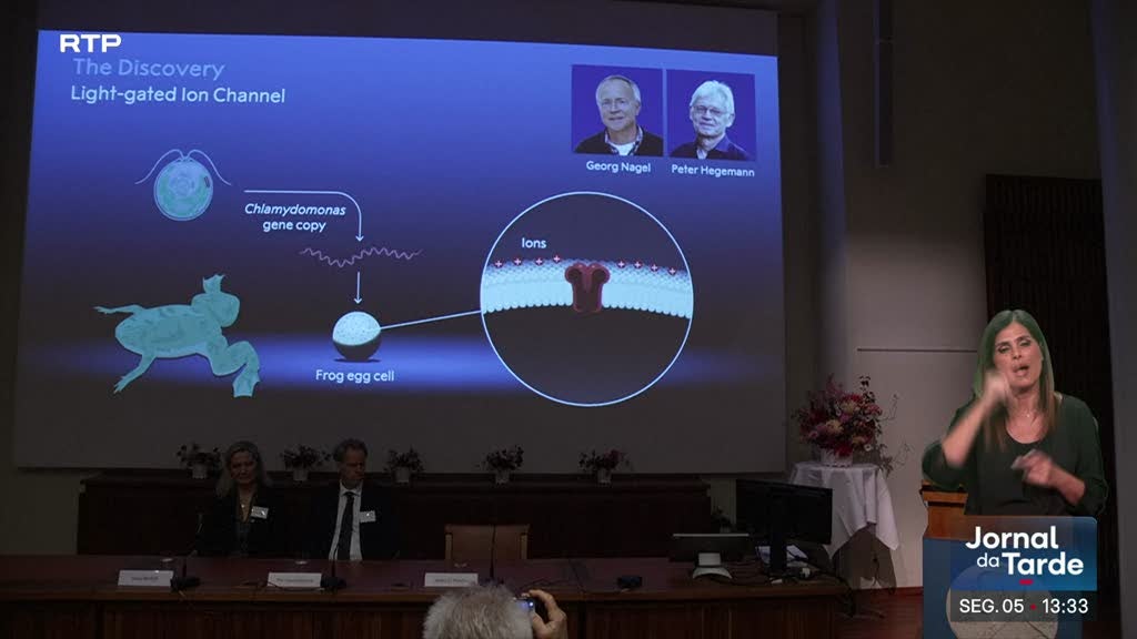 Imagem de Nobel da Medicina distingue técnica capaz de ativar neurónios