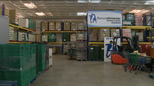 Imagem de Banco Alimentar combate o desperdício alimentar (vídeo)