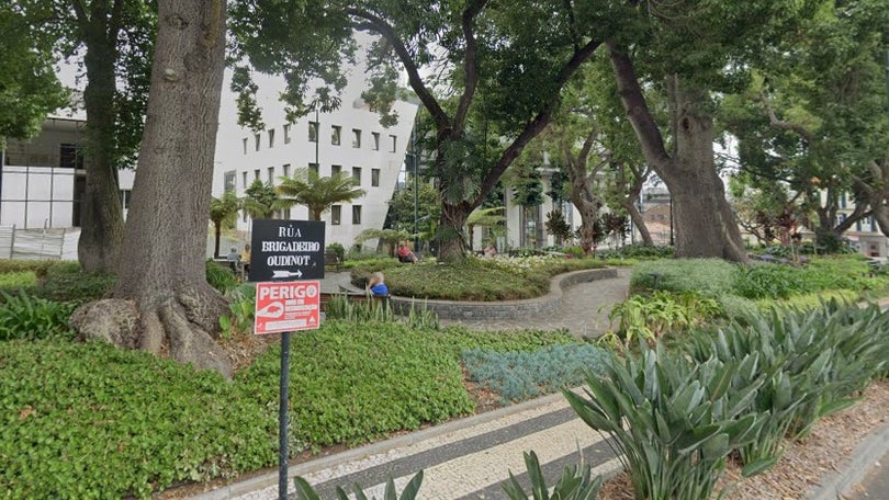 Queda de árvore no Jardim do Campo da Barca