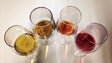 Imagem de Adegas da Blandy’s com mais de 200 vinhos à prova este sábado