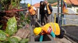 Imagem de Governo investe 6,7 milhões de euros no sistema de regadio