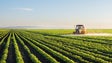Imagem de Relação dos agricultores com fisco é «agridoce»