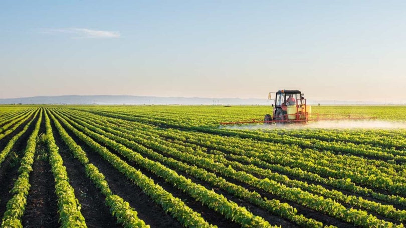 Imagem de Relação dos agricultores com fisco é «agridoce»