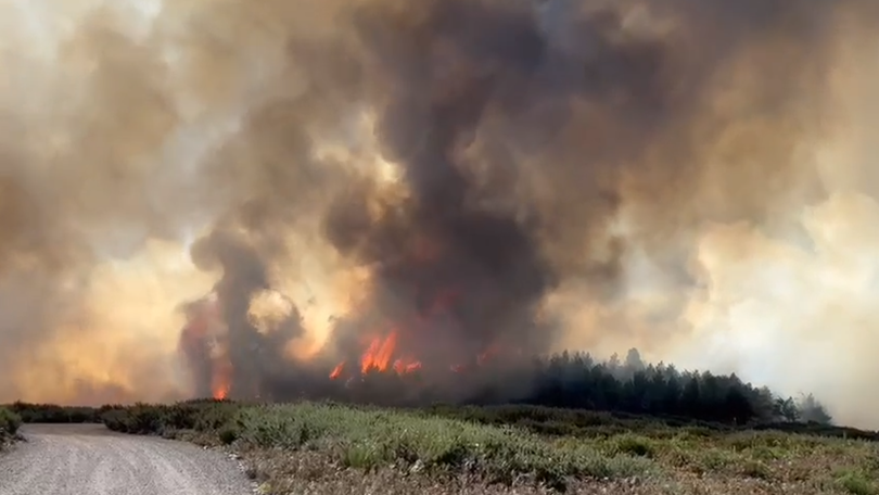 Imagem de Incêndio no Arco da Calheta está extinto