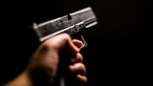 Imagem de PSP apreende armas de fogo para proteger vítimas de violência doméstica