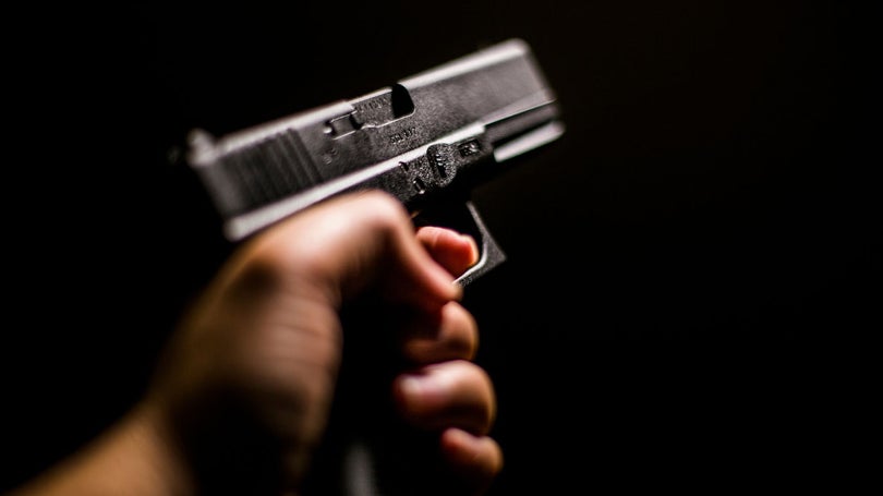 Imagem de PSP apreende armas de fogo para proteger vítimas de violência doméstica