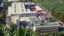 Imagem de Empresa de Cervejas acusada de recorrer indevidamente a trabalho temporário