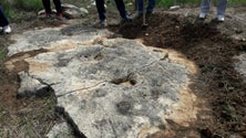 Imagem de Pegadas de dinossauros mais antigas da Península Ibérica descobertas em Portugal