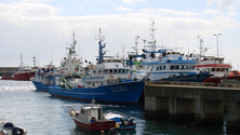 Parlamento Europeu propõe medidas específicas para a pesca na Madeira