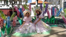 Funchal animado para a Festa da Flor (áudio)