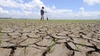 Alterações climáticas podem tornar-se área emergente de atuação dos psicólogos (Vídeo)