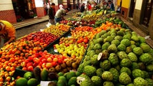 Procura por fruta da época aumenta no Natal