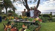 Imagem de Masterchef Suécia filma na Madeira