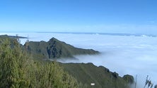 Imagem de Ultra Sky Running Madeira com 600 atletas (vídeo)
