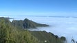Imagem de Ultra Sky Running Madeira com 600 atletas (vídeo)
