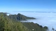 Ultra Sky Running Madeira com 600 atletas (vídeo)