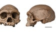 Homo Sapiens poderá ser mais antigo do que se supunha