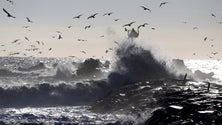 Imagem de IPMA indica aumento médio da temperatura e diminuição da precipitação (Vídeo)