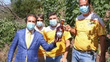 Imagem de Miguel Albuquerque destaca caráter inovador de plantação de lúpulo no Monte (Áudio)