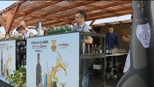 Festival de Cocktails agrada a turistas (vídeo)