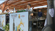 Imagem de Festival de Cocktails agrada a turistas (vídeo)