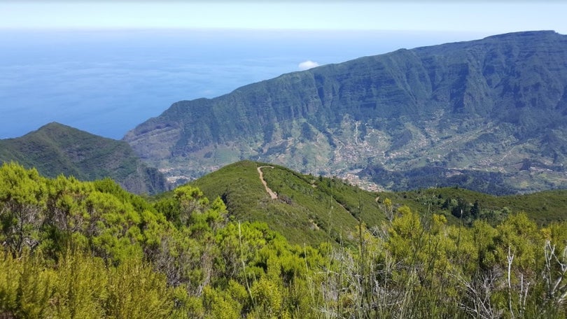 Imagem de 11 ONG`s apontam falhas no estudo ambiental das Ginjas