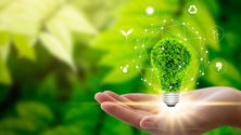 Imagem de Verba de 450 mil euros para a produção e armazenamento de energia renováveis