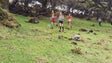 Imagem de Laurent Vicent e Charlotte Cotton venceram o Europeu de Veteranos de Atletismo de Montanha (Vídeo)