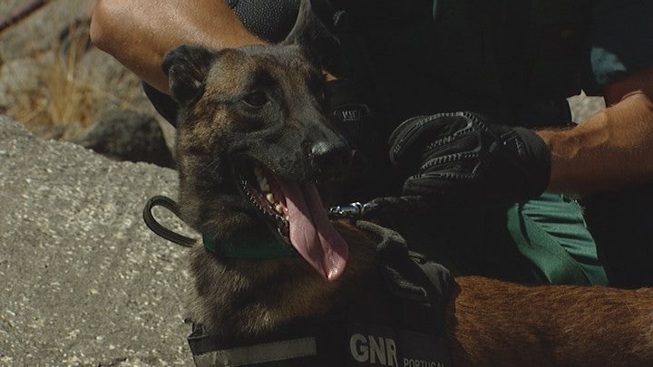 Imagem de Proteção Civil envolve 27 homens