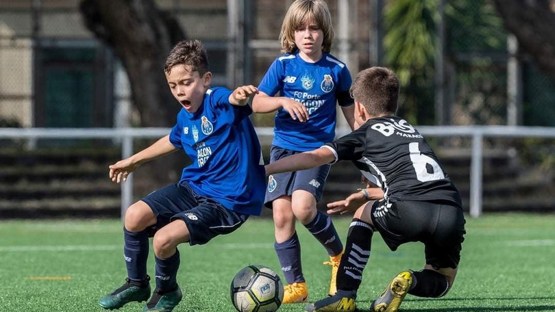Imagem de Madeirenses convocados às seleções nacionais Dragon Force
