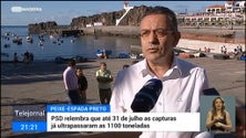 Imagem de PSD enalteceu o trabalho dos pescadores do peixe-espada-preto (vídeo)