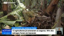 Imagem de Doze agricultores já acionaram os seguros de colheita
