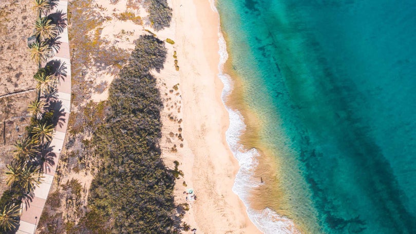 Imagem de Duas vitimas mortais nas praias madeirenses