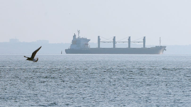 Imagem de Três navios com mais de 58 mil toneladas de cereais partiram de Odessa