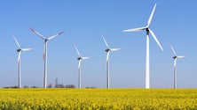 Imagem de Consumo de eletricidade cresce 4,1% em janeiro e renováveis abastecem 88%