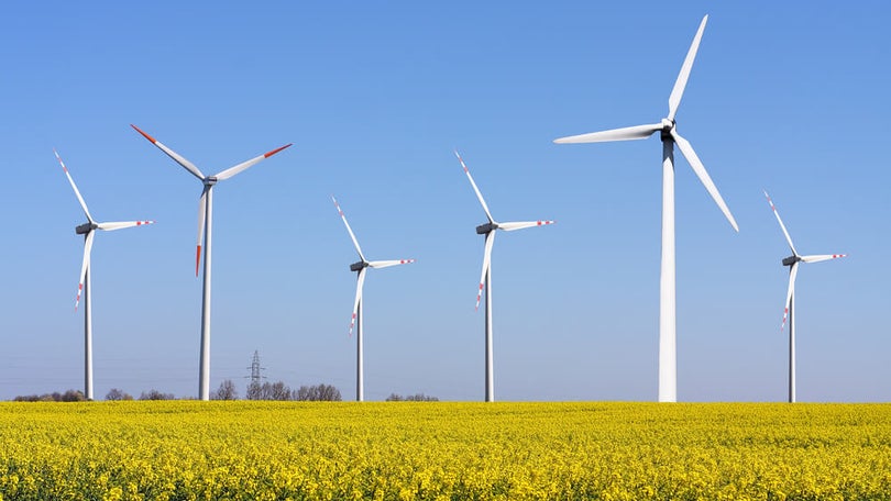 Imagem de Consumo de eletricidade cresce 4,1% em janeiro e renováveis abastecem 88%