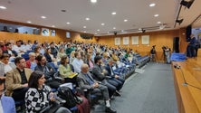 Escola do Estreito de Câmara de Lobos é a única da Região certificada pela Microsoft (áudio)