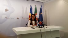 Imagem de Governo concede 228 mil euros aos 11 grupos que participam no cortejo da flor