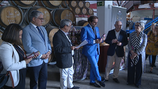 Imagem de Metade da produção transformada em rum (vídeo)